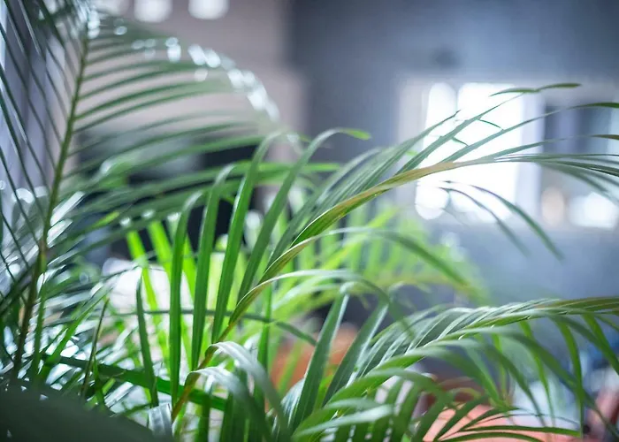 Cinematic Modern Flat, 100 Mt Da Ospedale *